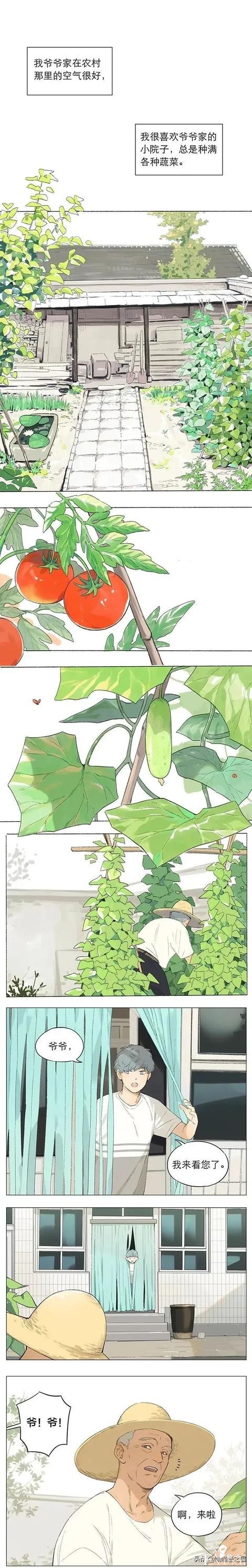 漫画：树欲静而风不止，子欲养而亲不待。别给自己留下遗憾-1.jpg