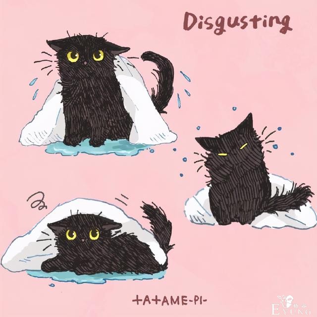 看多了猫耳娘，看看画师笔下的猫猫也挺好，多么可爱的生物啊-2.jpg
