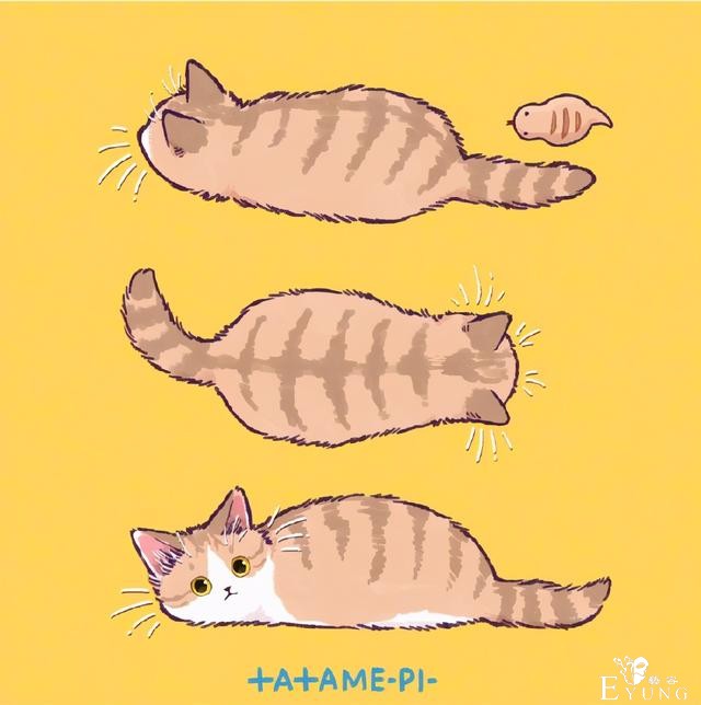 看多了猫耳娘，看看画师笔下的猫猫也挺好，多么可爱的生物啊-5.jpg