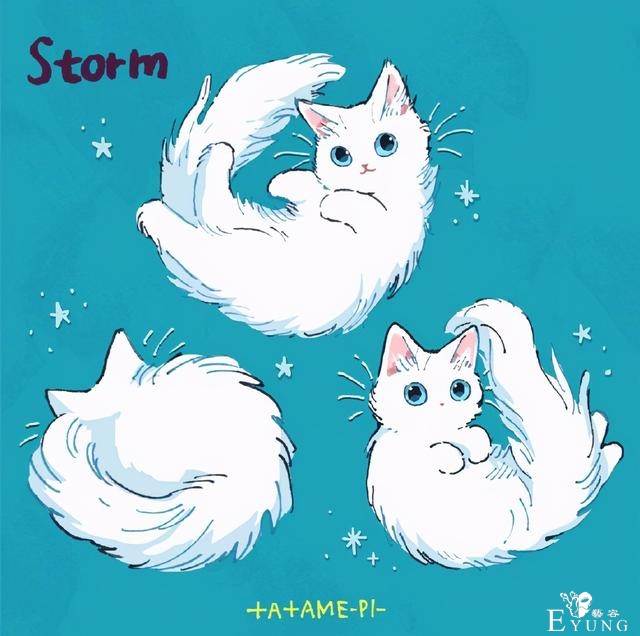 看多了猫耳娘，看看画师笔下的猫猫也挺好，多么可爱的生物啊-3.jpg