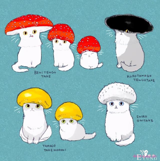 看多了猫耳娘，看看画师笔下的猫猫也挺好，多么可爱的生物啊-7.jpg