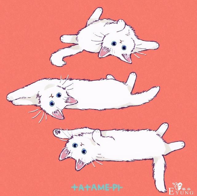 看多了猫耳娘，看看画师笔下的猫猫也挺好，多么可爱的生物啊-4.jpg