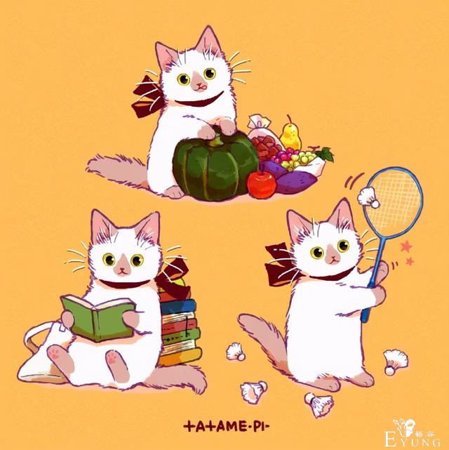 看多了猫耳娘，看看画师笔下的猫猫也挺好，多么可爱的生物啊-10.jpg