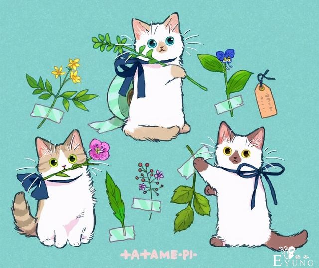 看多了猫耳娘，看看画师笔下的猫猫也挺好，多么可爱的生物啊-11.jpg