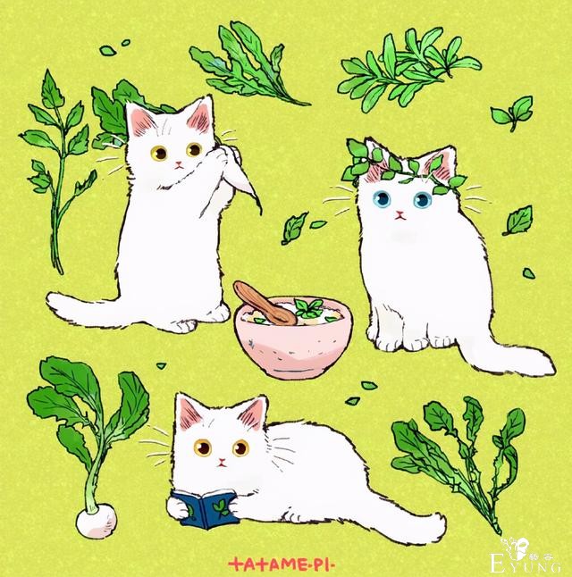 看多了猫耳娘，看看画师笔下的猫猫也挺好，多么可爱的生物啊-9.jpg