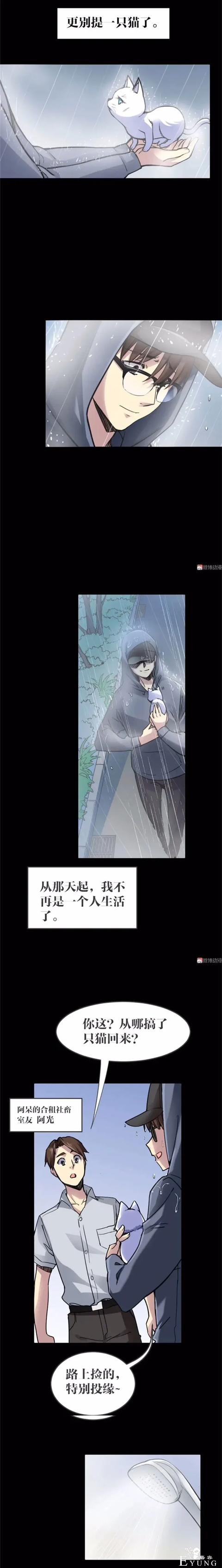 人性漫画《猫》我收养了一只会做饭的猫咪-8.jpg