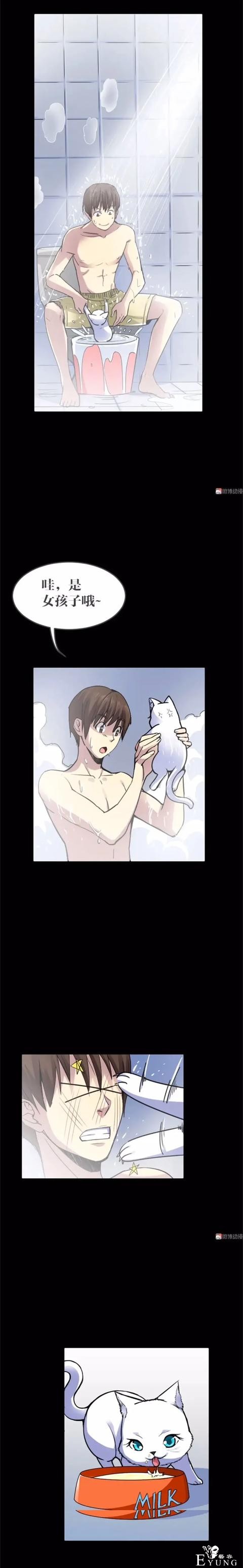 人性漫画《猫》我收养了一只会做饭的猫咪-9.jpg