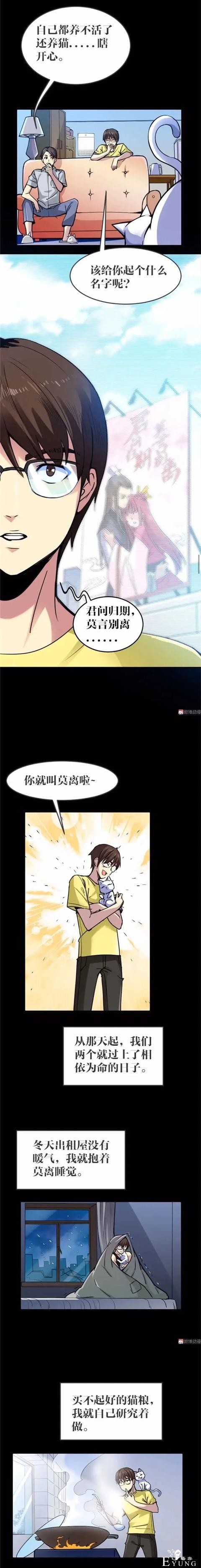 人性漫画《猫》我收养了一只会做饭的猫咪-10.jpg