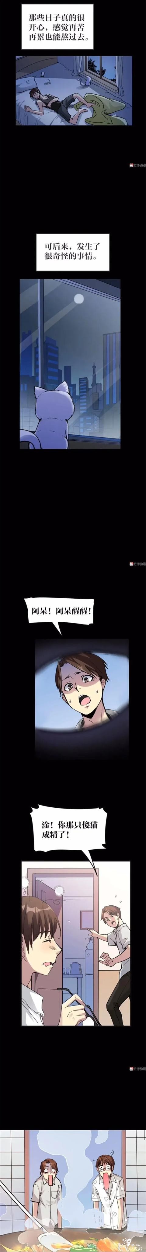人性漫画《猫》我收养了一只会做饭的猫咪-11.jpg