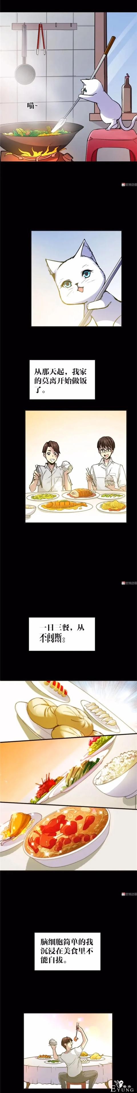 人性漫画《猫》我收养了一只会做饭的猫咪-12.jpg