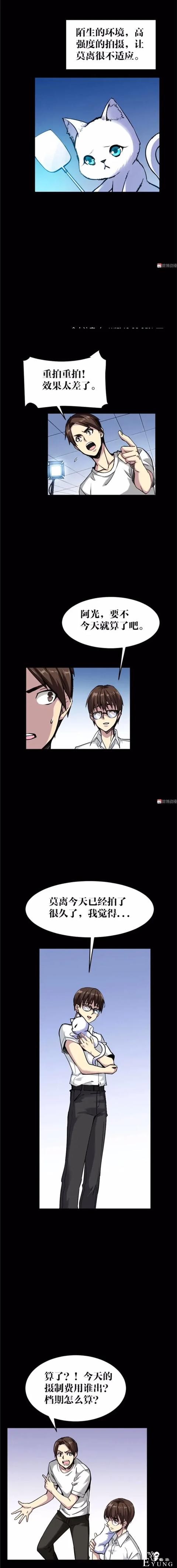 人性漫画《猫》我收养了一只会做饭的猫咪-16.jpg