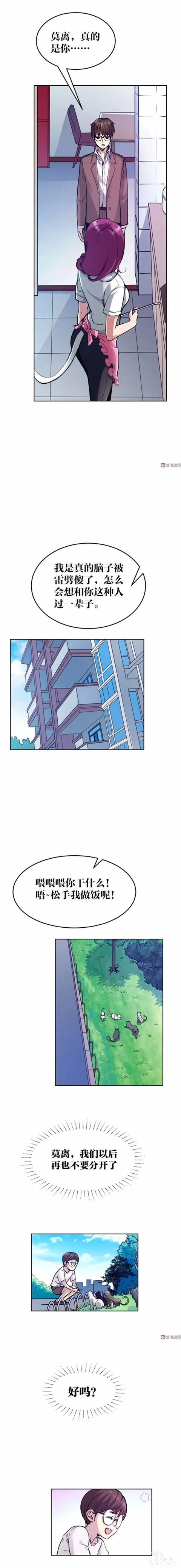 人性漫画《猫》我收养了一只会做饭的猫咪-27.jpg