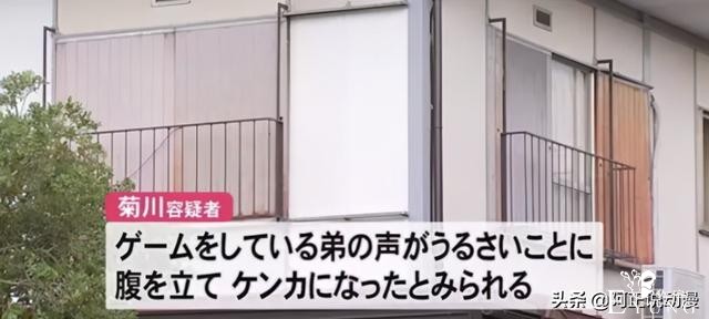 31岁男性偷开《龙珠》抽奖被判1年｜ACGN新闻-10.jpg