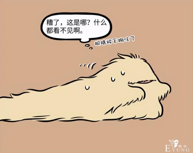 非人哉：杨戬原来是终极福瑞控？梦想是自己也变成毛茸茸-3.jpg