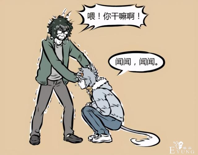 非人哉：哮天面对“陌生人”的态度太好笑，吓得白泽瑟瑟发抖-3.jpg