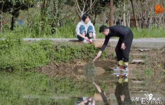 什么时候开始，慢综艺要靠八卦来博热度了？《向往5》常驻该换了-1.jpg