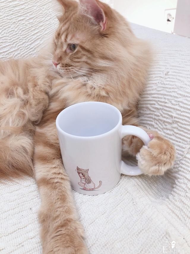 糟糕，40原老师最近都没咋画猫耳娘，而是专心晒猫了-7.jpg