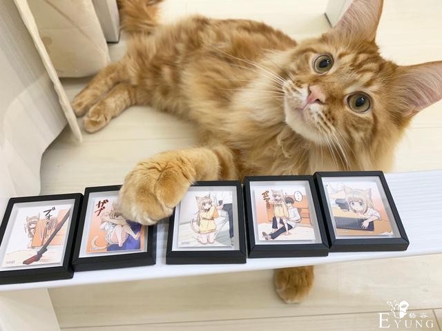糟糕，40原老师最近都没咋画猫耳娘，而是专心晒猫了-5.jpg