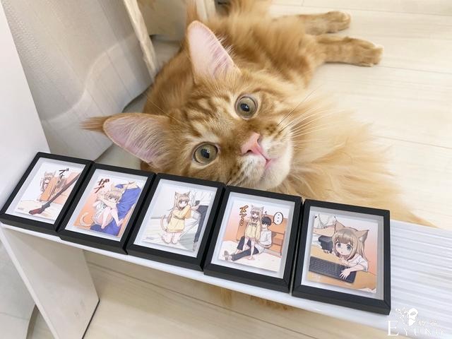 糟糕，40原老师最近都没咋画猫耳娘，而是专心晒猫了-4.jpg