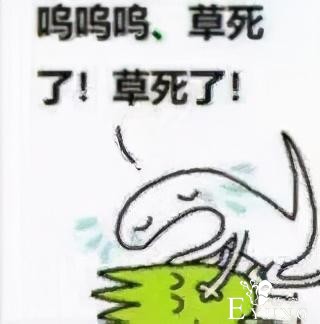 除了114514，你还知道哪些二次元常见的数字梗？-5.jpg