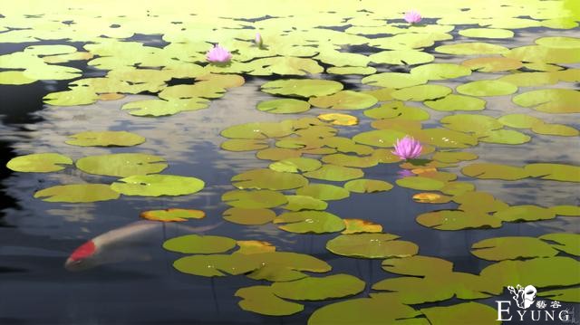很有质感的动漫场景插画作品！手绘和照片转手绘的结合相当完美-6.jpg