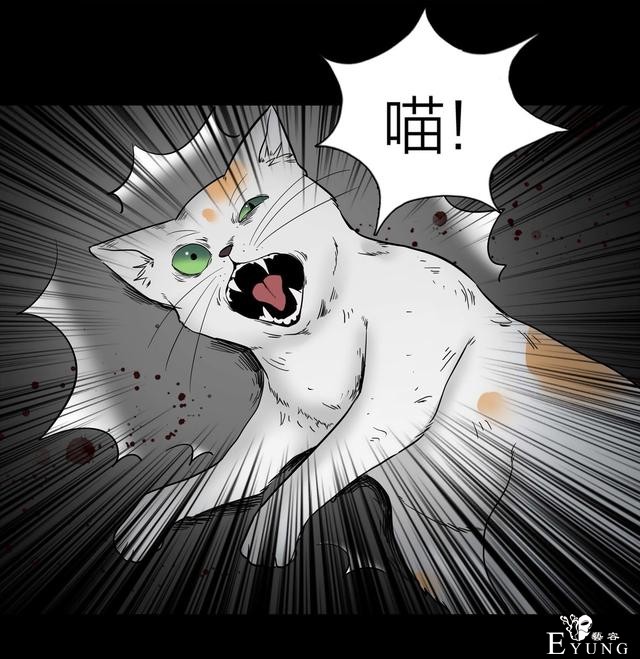 人性漫画：人气猫女主播，宅男粉丝破200W（背后的秘密）-52.jpg