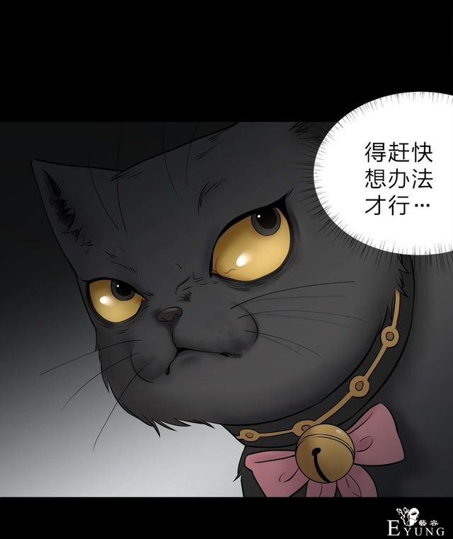 人性漫画：人气猫女主播，宅男粉丝破200W（背后的秘密）-115.jpg