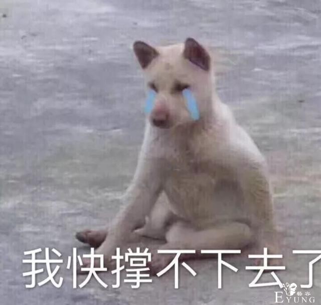 父母花式催婚大法令人哭笑不得！这届家长可太难带了……-6.jpg