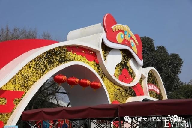快来打卡！成都熊猫基地变装完成-2.jpg