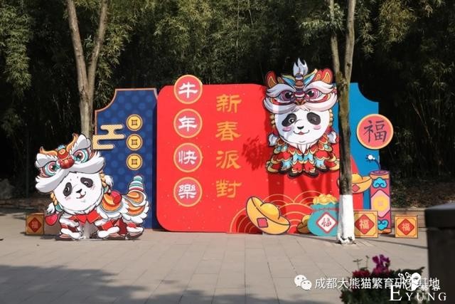 快来打卡！成都熊猫基地变装完成-3.jpg
