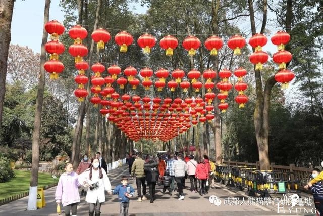 快来打卡！成都熊猫基地变装完成-5.jpg