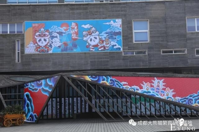 快来打卡！成都熊猫基地变装完成-6.jpg
