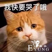 没有校服，就没有伤害？-17.jpg