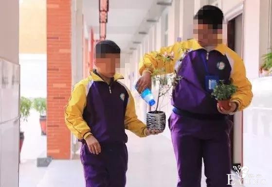 没有校服，就没有伤害？-24.jpg