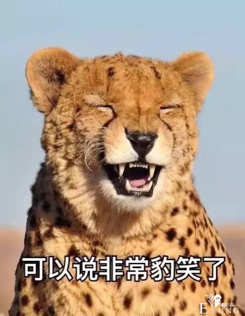 9部一定要看的爆笑漫画-1.jpg