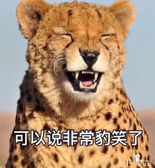 9部一定要看的爆笑漫画-11.jpg