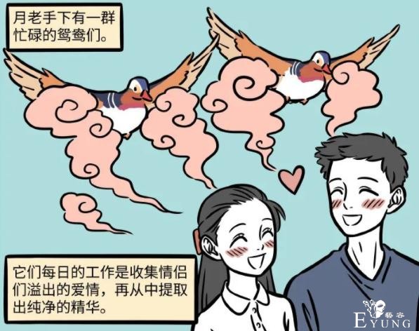 非人哉：月老手下原来是鸳鸯鸟，可惜干事不太靠谱，和月老一样坑-1.jpg