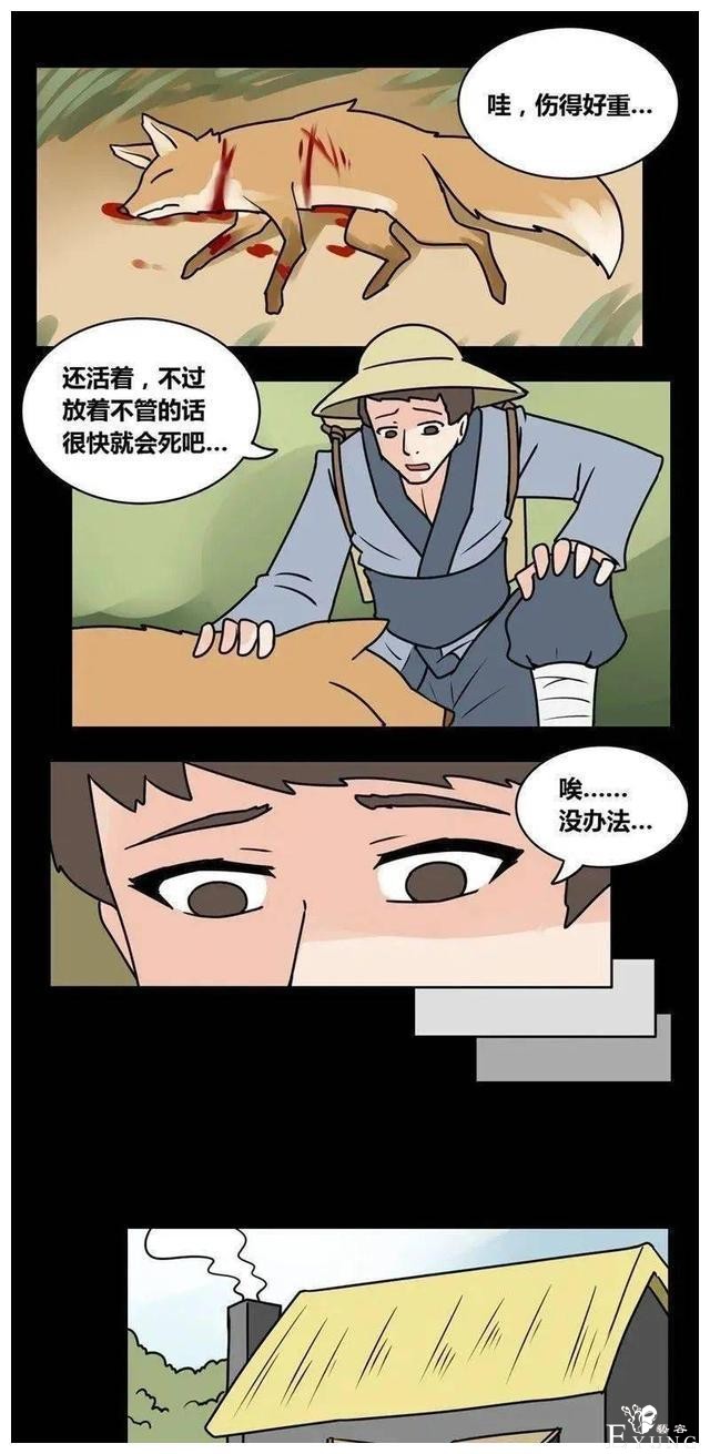 人性漫画《农夫与狐狸精》——狐狸精都很好看嘛-3.jpg
