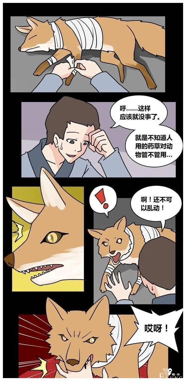人性漫画《农夫与狐狸精》——狐狸精都很好看嘛-4.jpg