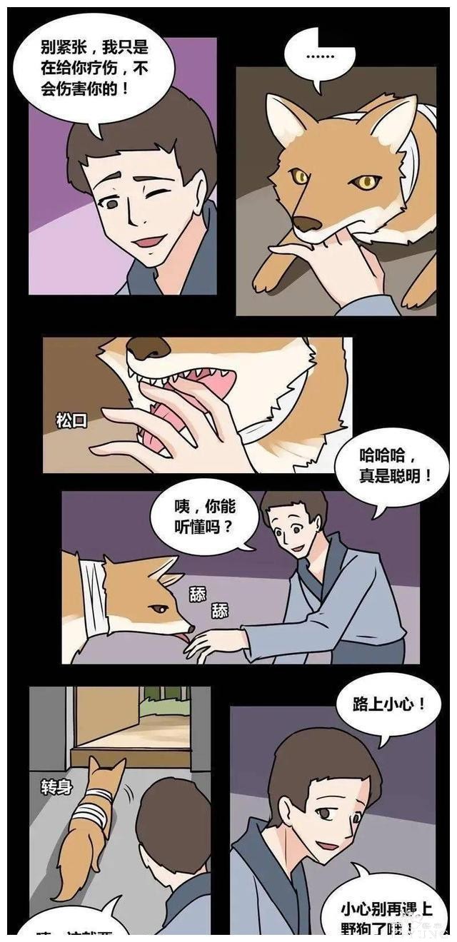 人性漫画《农夫与狐狸精》——狐狸精都很好看嘛-5.jpg