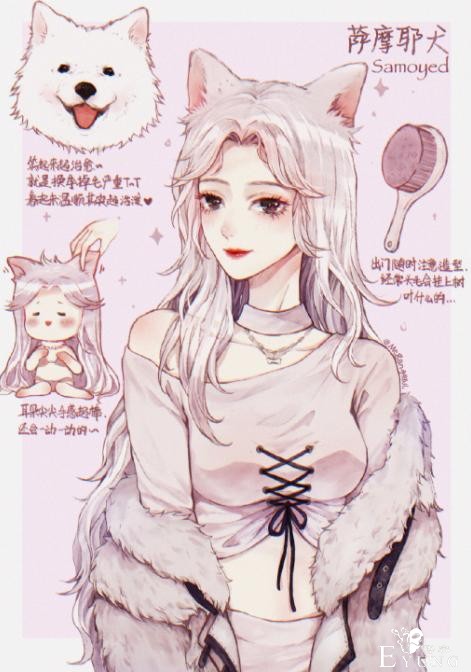 狗狗化身动漫美少女，萨摩变成白毛御姐，短腿柯基好俏皮-1.jpg