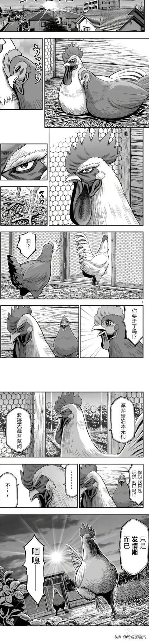 人性漫画：一只鸡的报恩-4.jpg