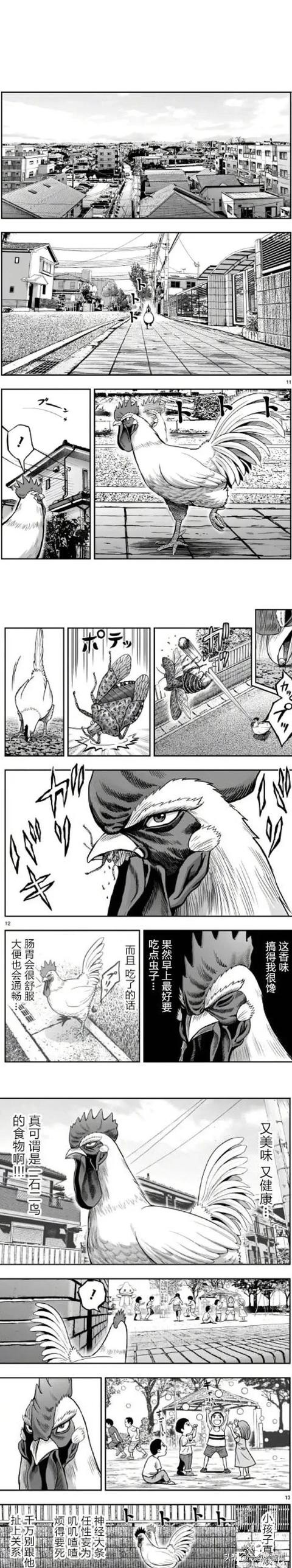 人性漫画：一只鸡的报恩-5.jpg
