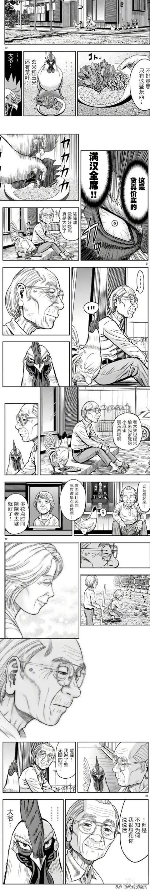 人性漫画：一只鸡的报恩-8.jpg