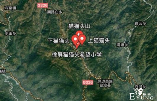 猫猫头山突然火了？果然大家都是爱猫猫的，快给我变-1.jpg
