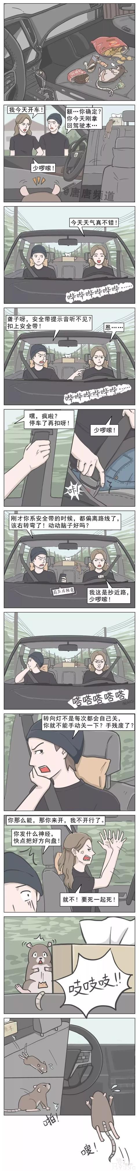 漫画《女司机》，连老鼠都看不过眼了。。哈哈哈-1.jpg
