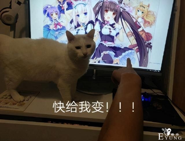 猫娘乐园出新游戏？猫咪们都变成了纯爷们，这下没法说给我变了-2.jpg