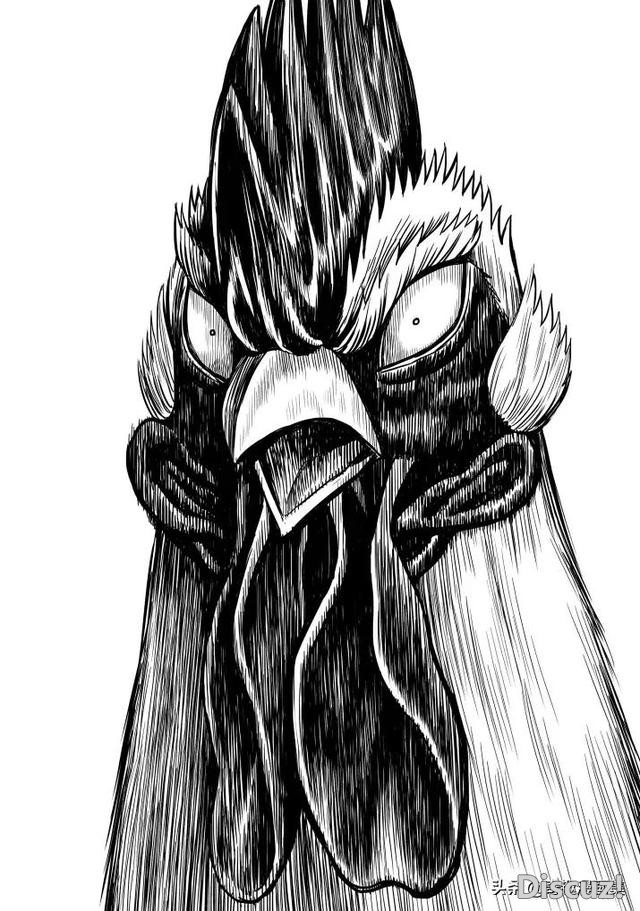 人性漫画：鸡哥之大战海鬼-17.jpg