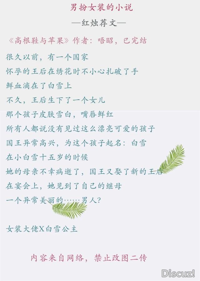 男扮女装言情文 l 小说推荐-8.jpg