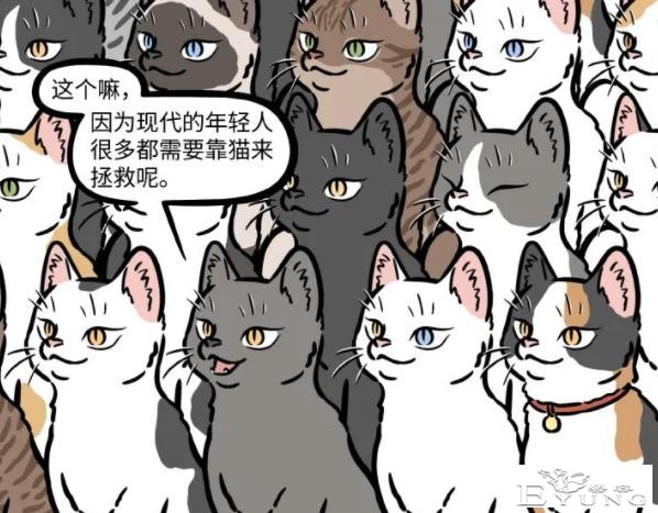 非人哉：大士最爱的动物是马，却喜欢变成猫，被杨戬看到了还得了-4.jpg